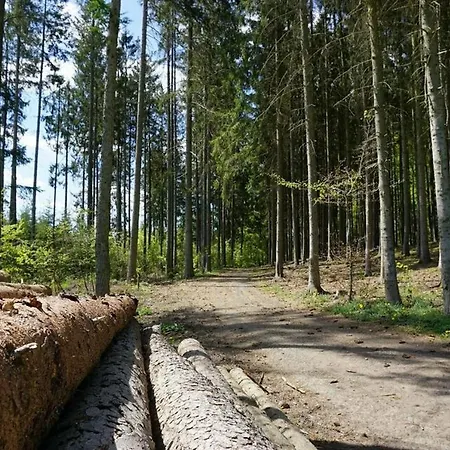 Bei Zoe Mit Sauna Ferienhaus *