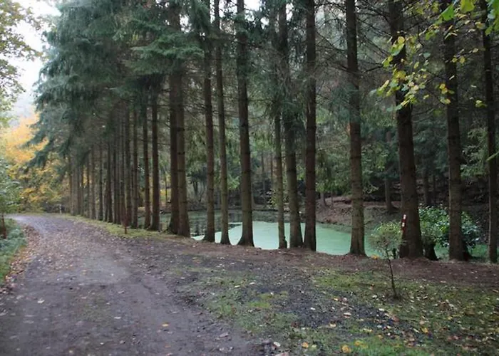 Dom wakacyjny Bei Zoe Mit Sauna *